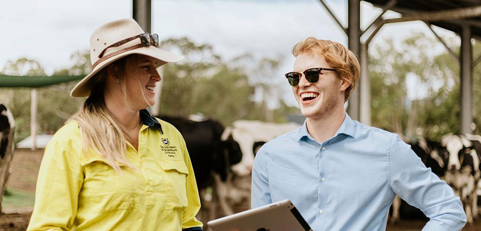 The University of Queensland - St Lucia campus Background Image