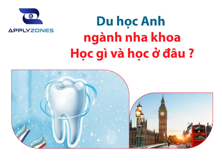 Du học Anh ngành nha khoa